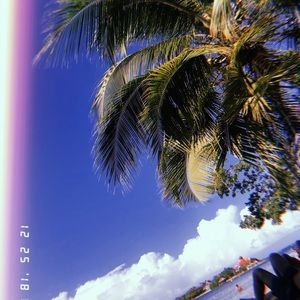 Meet your Posher, Simone